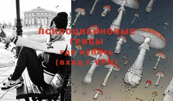 mix Карпинск