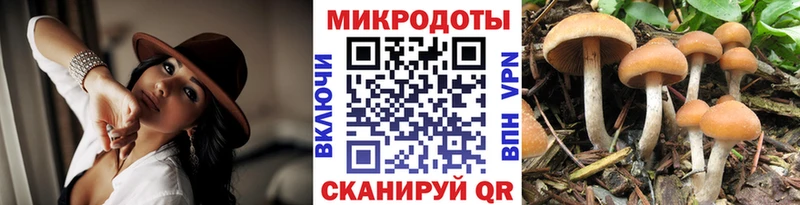 даркнет сайт  Каменка  Галлюциногенные грибы Psilocybe 