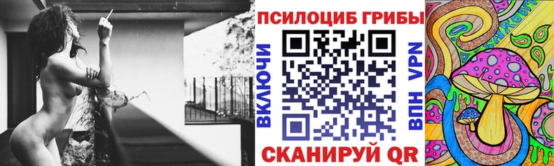 Галлюциногенные грибы мухоморы Каменка
